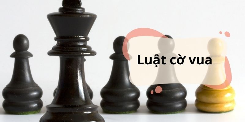 Nắm vững luật cơ vua để trở thành cao thủ ngay hôm nay nhé!