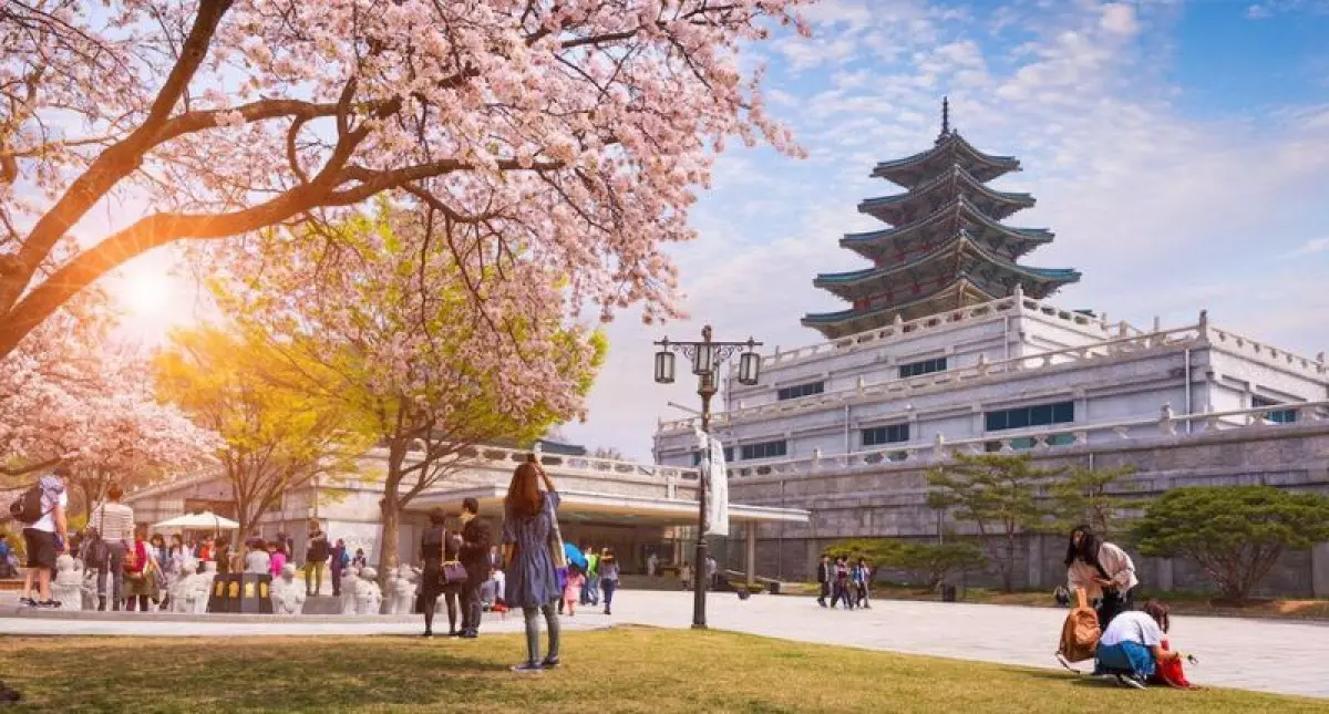 Du lịch Hàn Quốc: Khám phá vẻ đẹp đa màu sắc của đất nước kim chi