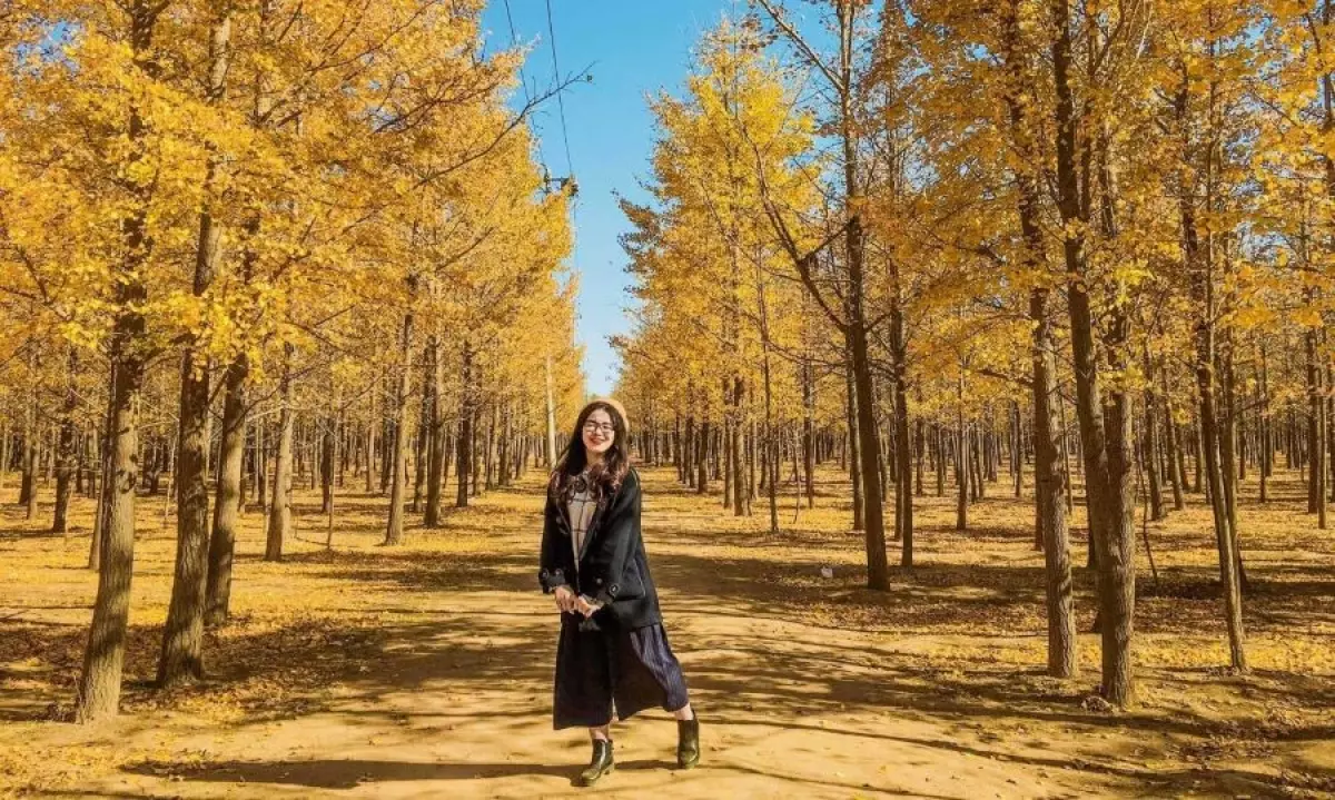 Cách lựa chọn trang phục du lịch Hàn Quốc vào mùa thu