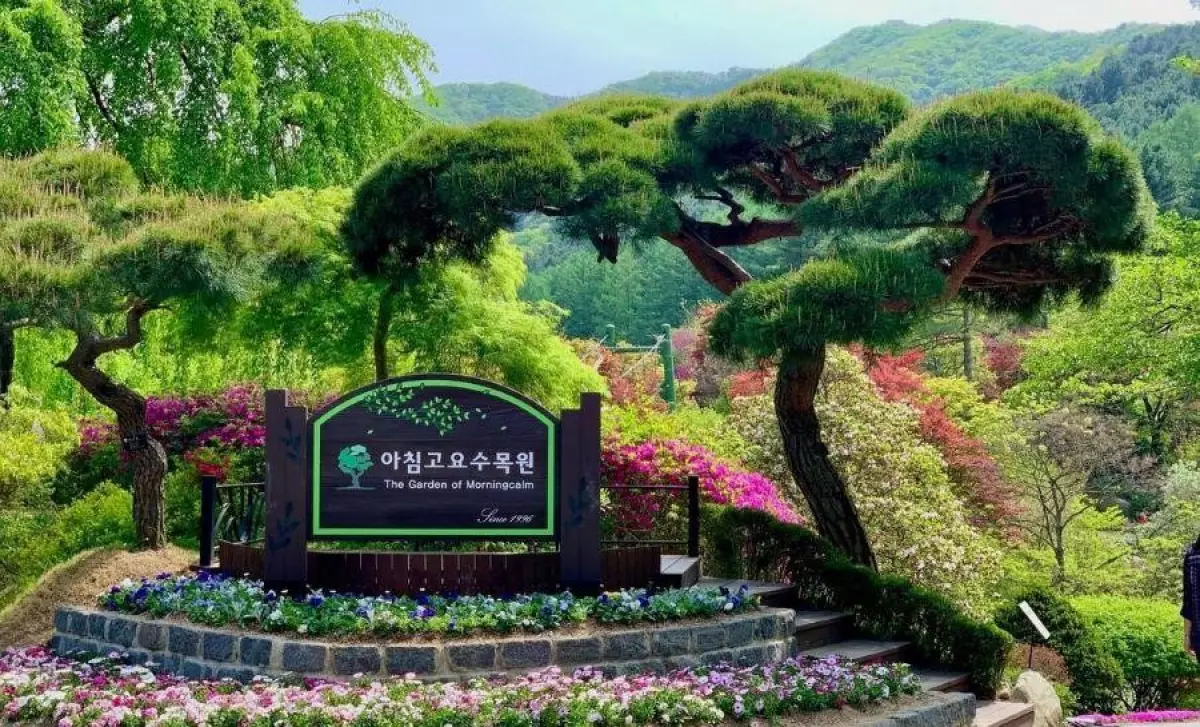 Khám phá Morning Calm - Khu vườn ngọt ngào nhất Hàn Quốc