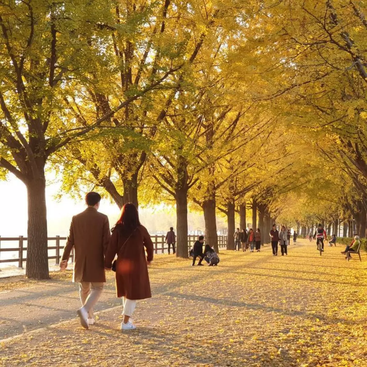 Kinh nghiệm du lịch Hàn Quốc tháng 11 không thể bỏ qua