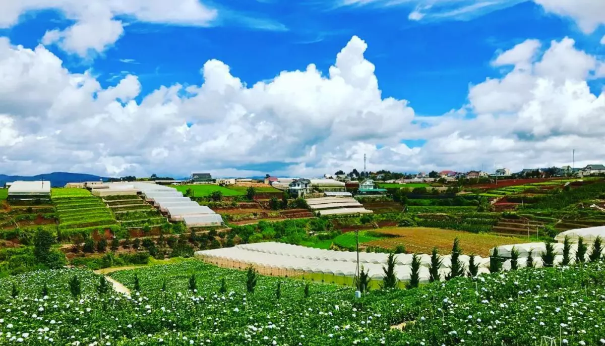 Sunwin Rực Lửa - Bí Mật Chiến Thắng Dành Cho Tân Thủ