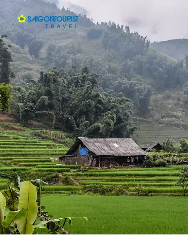   DU LỊCH ĐÀ NẴNG -HÀ NỘI-LÀO CAI - SAPA