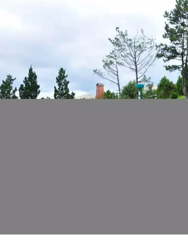   Đà Lạt Thành phố ngàn hoa - Nơi làm thổn thức tâm hồn du khách