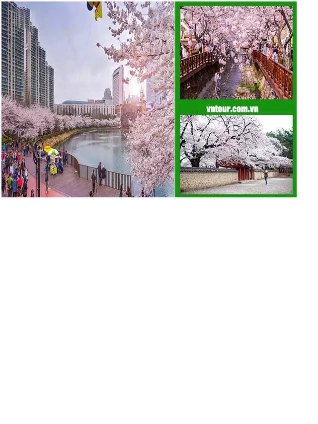   Du lịch Hàn Quốc giá rẻ (khuyến mãi) 2023 - Khám phá xứ sở Kim Chi cùng VnTour