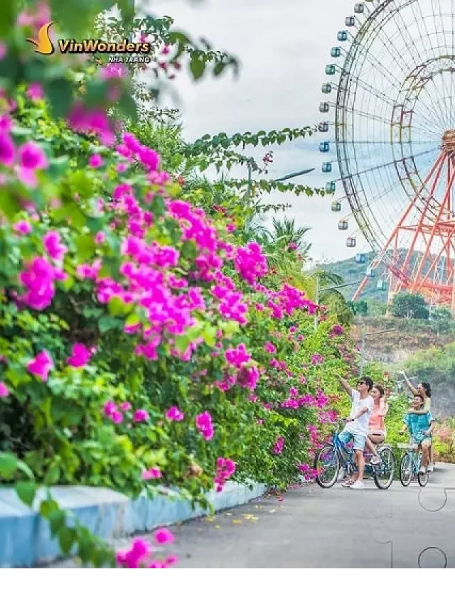   Trọn bộ kinh nghiệm đi Vinpearl Nha Trang đầy đủ từ ăn ở, đi lại, vui chơi