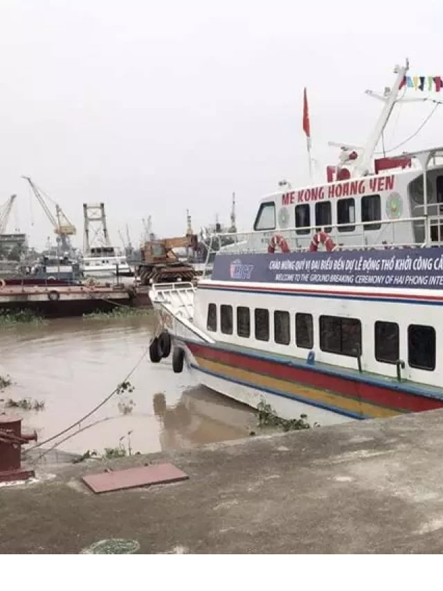   Hải Phòng đi Cát Bà: Kinh nghiệm du lịch tự túc thú vị và tiết kiệm