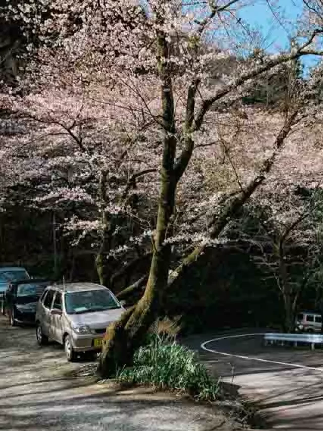   Kinh nghiệm du lịch Hakone cùng tận hưởng tắm Onsen của Nhật Bản