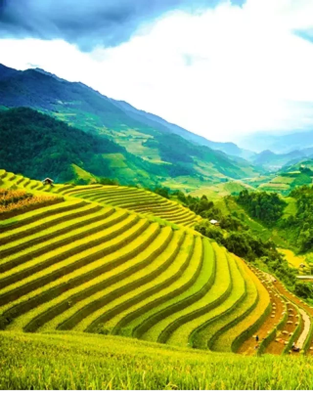   10 địa điểm du lịch ở Mù Cang Chải không thể bỏ qua