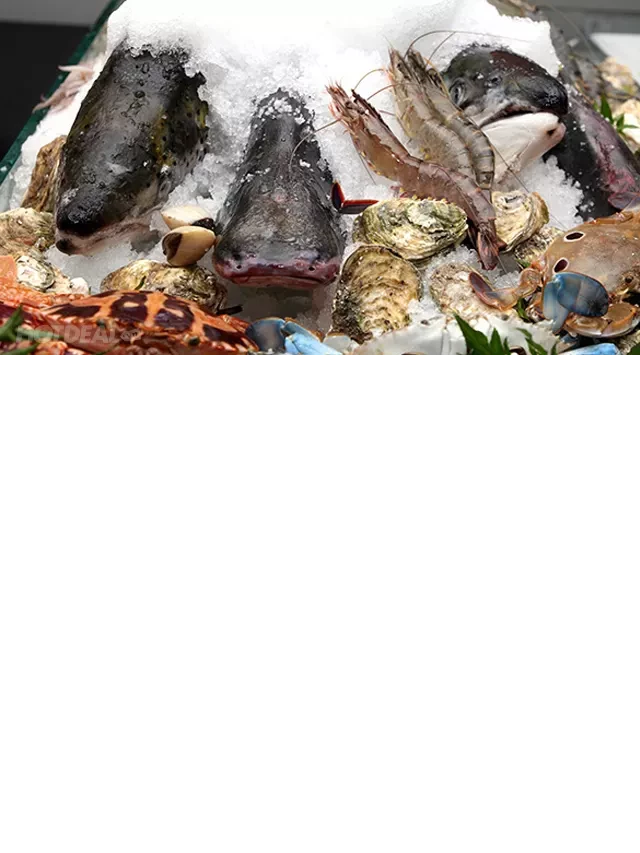   Trải Nghiệm Buffet Lẩu Nướng Độc Đáo tại Nhà Hàng Trúc Quyên Lầu Quán - Vincom Time City