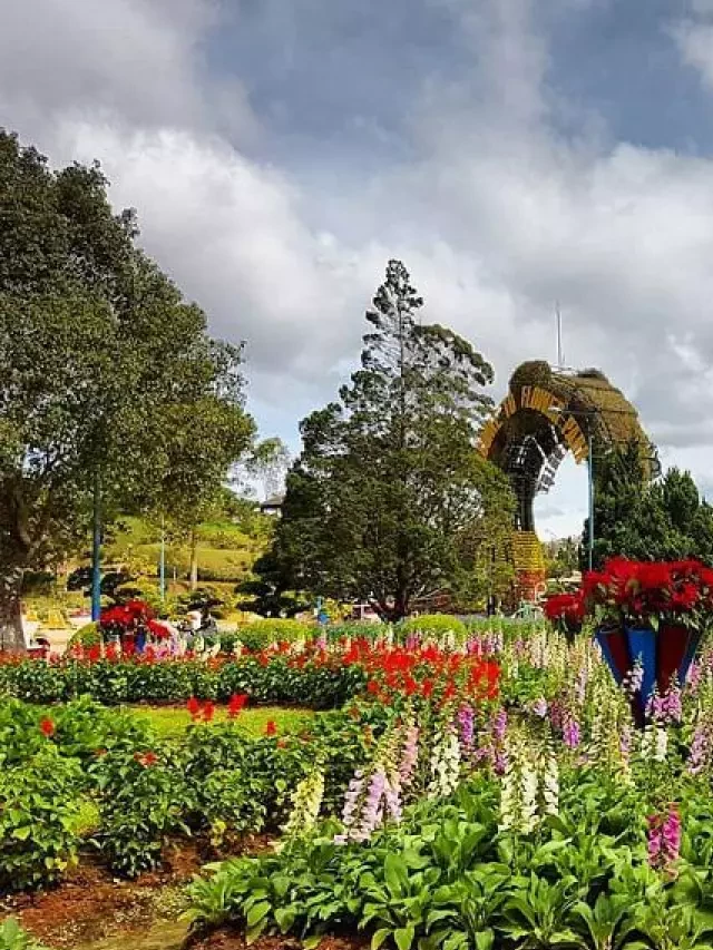   Vườn hoa thành phố Đà Lạt: Khám phá thông tin mới nhất năm 2023