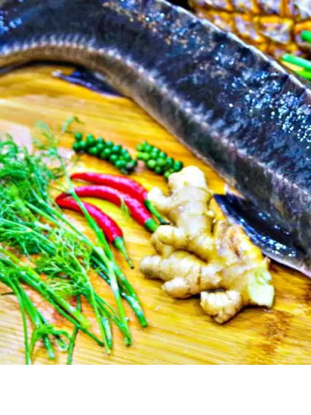   Cách nấu lẩu cá tầm thơm ngon, bổ dưỡng, không bị tanh tại nhà