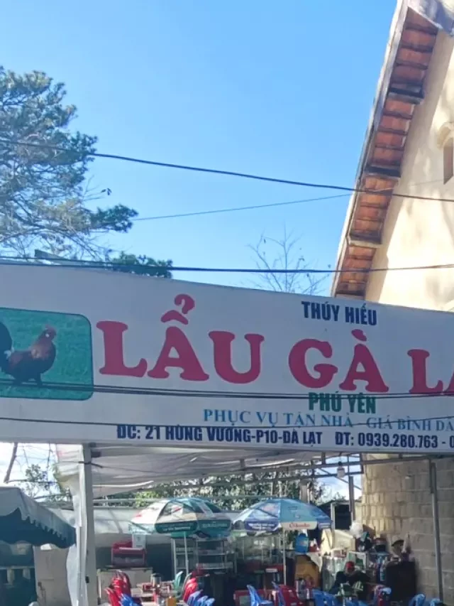   Lẩu Gà Lá É Thúy Hiếu - Một trải nghiệm đích thực tại Đà Lạt