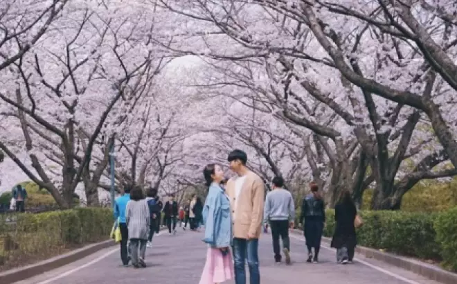 Tour Du Lịch Hàn Quốc: Seoul - Nami - Everland