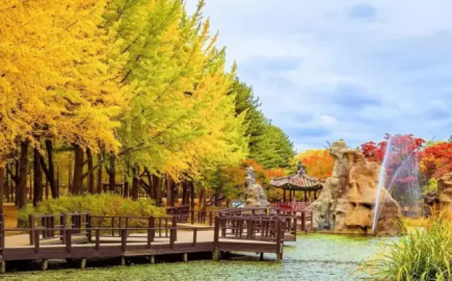 Khám phá Đảo Nami Hàn Quốc: Hành trình đầy thú vị trong thiên nhiên tuyệt vời