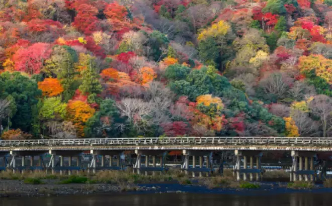 Bí quyết du lịch Nhật Bản tự túc: Khám phá xứ sở Phù Tang
