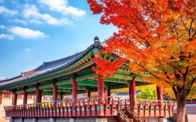 Bỏ túi kinh nghiệm du lịch Hàn Quốc mùa lá đỏ 2023