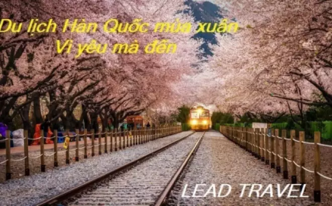 Đi Hàn Quốc vào thời điểm nào để trải nghiệm tuyệt vời nhất?