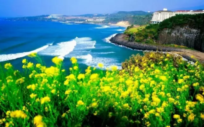 Điều kiện du lịch đảo Jeju không cần visa mới nhất mà bạn nên biết