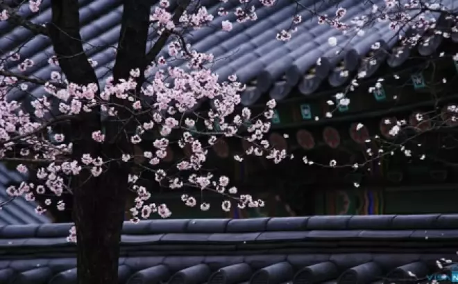 Du lịch Hàn Quốc tự túc: Khám phá đất nước xinh đẹp và hấp dẫn