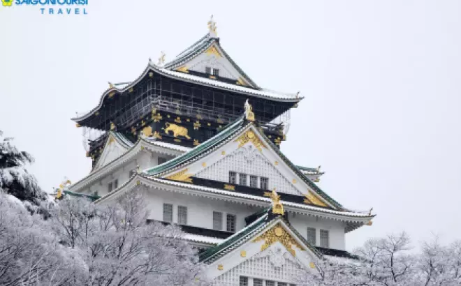 Du lịch Nhật Bản đón Tết Nguyên Đán 2023 [Osaka-Kyoto-Nagoya-Núi Phú Sĩ-Tokyo]: Chiêm ngưỡng Lễ hội ánh sáng Illumination &amp; Trượt tuyết núi Phú Sĩ