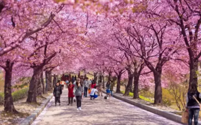 Giá tour du lịch Hàn Quốc năm 2022 - Những điều bạn cần biết