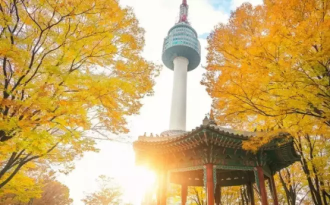 Kinh nghiệm du lịch Hàn Quốc 1/2024: Tự túc khám phá đất nước Kim Chi