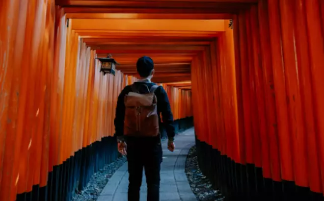 Lịch trình 15 ngày du lịch Nhật Bản: Khám phá đất nước của thiên nhiên và văn hóa độc đáo