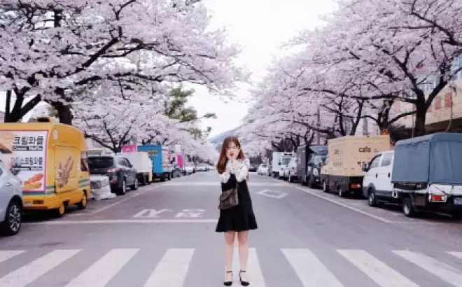 Nên đi du lịch Hàn Quốc mùa nào đẹp? Cùng tìm hiểu!