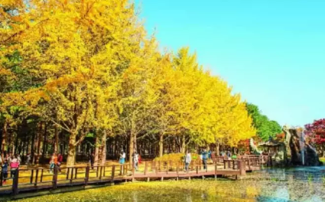 Tour Du Lịch Hàn Quốc 5 Ngày 4 Đêm: Khám Phá Đất Nước Xinh Đẹp Hàn Quốc