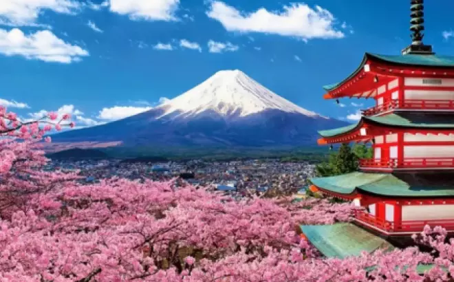 Tour du lịch Nhật Bản trọn gói: Khám phá xứ sở hoa anh đào