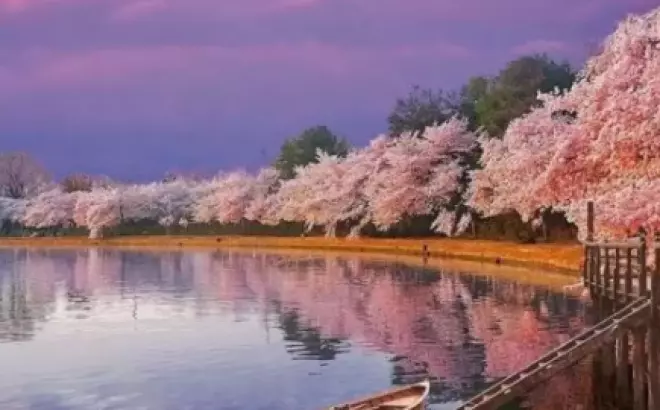 Tour Nhật Bản trọn gói giá rẻ nhất: Trải nghiệm tuyệt vời tại đất nước mặt trời mọc