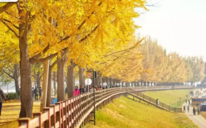 Yangyang - Thành phố với vẻ đẹp trong trẻo và yên bình