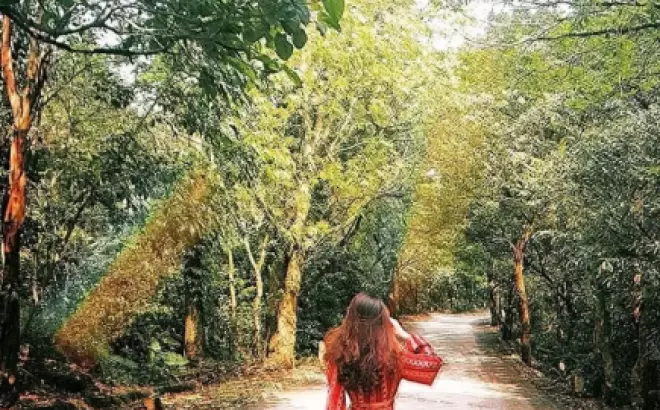 Ba Vì - Khám phá vẻ đẹp thiên nhiên độc đáo