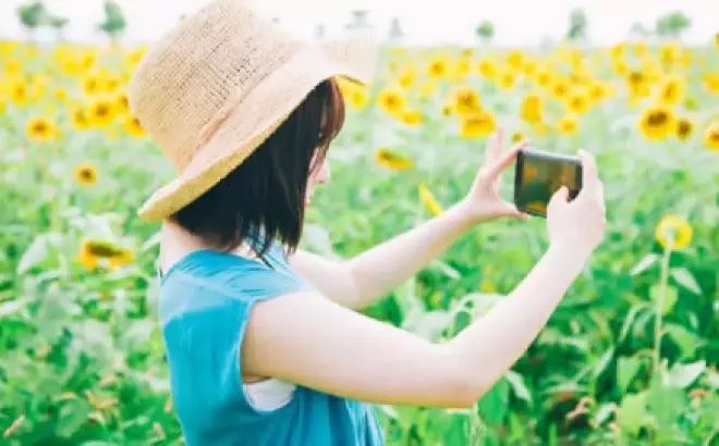 Cùng bạn khám phá Nhật Bản: Chinh phục cánh đồng hoa hướng dương ở Kanto