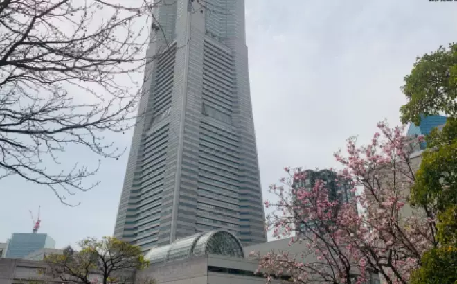 Khám phá Yokohama – Du lịch trong ngày từ Tokyo