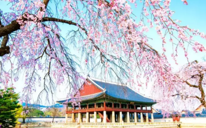 Du lịch Hàn Quốc tết: Khám phá 09 điểm đến hút khách 2024