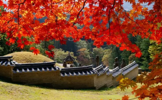 Kinh nghiệm du lịch Hàn Quốc mùa lá đỏ từ A-Z