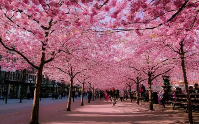 Chia sẻ tất tần tật kinh nghiệm du lịch Osaka tự túc