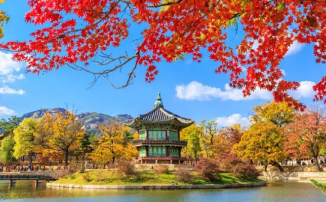 Bật mí những kinh nghiệm du lịch Hàn Quốc mùa xuân hữu ích nhất cho bạn