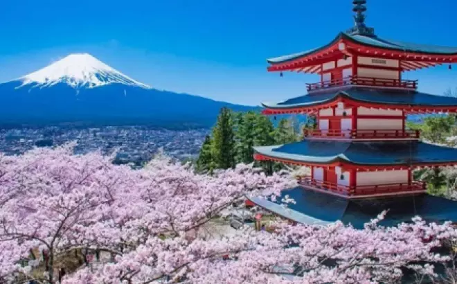 Cẩm nang du lịch Nhật Bản cho người đi lần đầu: Khám phá đất nước của những nét đẹp đa dạng