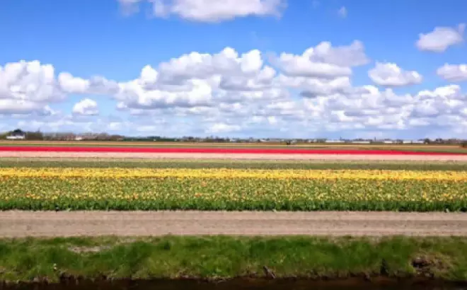 Đi châu Âu tự túc 20 ngày với 50 triệu đồng