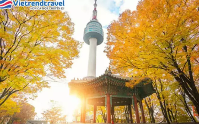 Du lịch Hàn Quốc Cao Cấp: Seoul - Everland - Nami - 5N4Đ Khách sạn 5* Quốc tế Bay sáng Vietnam Airlines từ Hà Nội