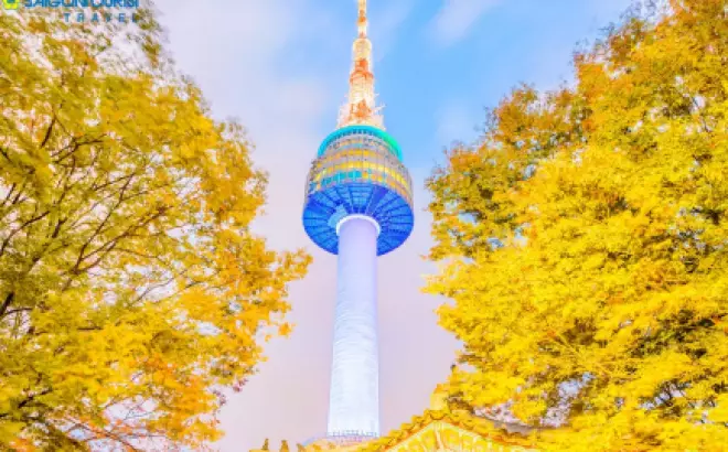Du lịch Hàn Quốc - Khám phá màu sắc thu vàng [SEOUL – NAMI – EVERLAND - THÁP NAMSAN]