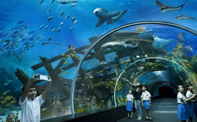 Du lịch Thái Lan: 11 điểm vui chơi bổ ích dành cho trẻ em