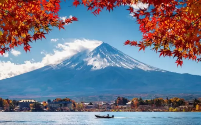 Du lịch Tokyo tháng 11: Tận hưởng vẻ đẹp trong giao mùa