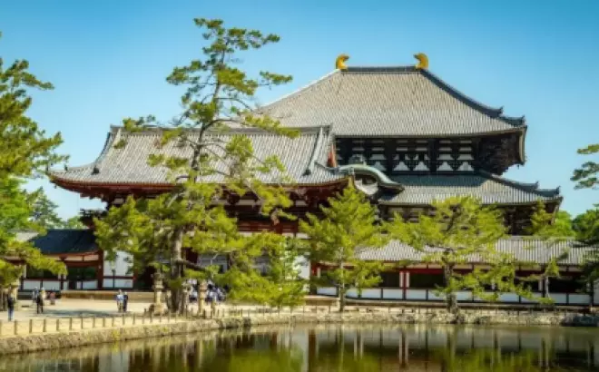 Gợi ý Lịch trình du lịch Nhật Bản tự túc để khám phá trọn vẹn xứ anh đào