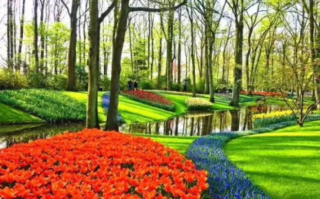 Kinh nghiệm du lịch Châu Âu tự túc đầy đủ nhất phần 1: Xác định thời gian phù hợp và chuẩn bị hồ sơ visa