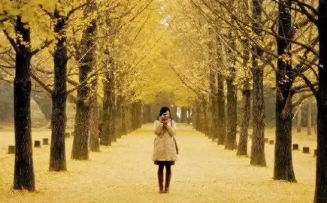 Kinh nghiệm du lịch Hàn Quốc tháng 11: Khám phá cảnh đẹp mê hồn và lễ hội truyền thống