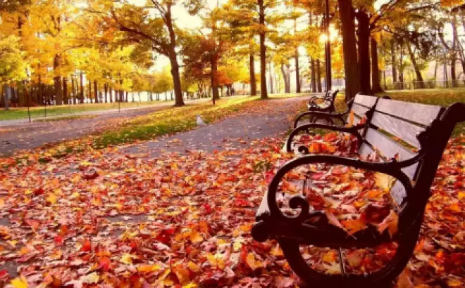 Du Lịch Hàn Quốc Vào Tháng 9,10,11: Kinh Nghiệm và Điểm Đến Hấp Dẫn